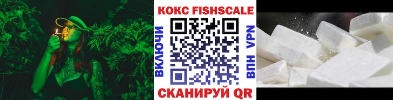 mega рабочий сайт  Вилючинск  COCAIN FishScale  купить закладку 