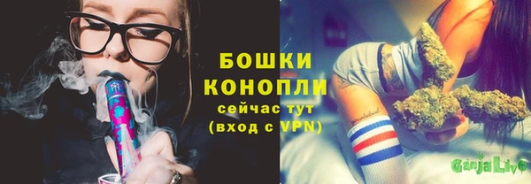тгк Богородицк