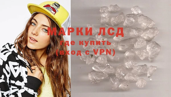 PSILOCYBIN Богданович