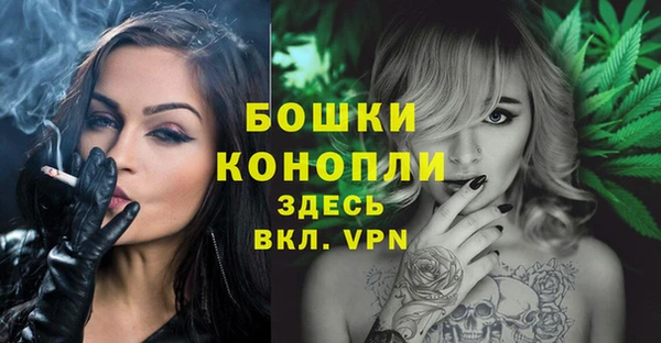 ГАЛЛЮЦИНОГЕННЫЕ ГРИБЫ Верея