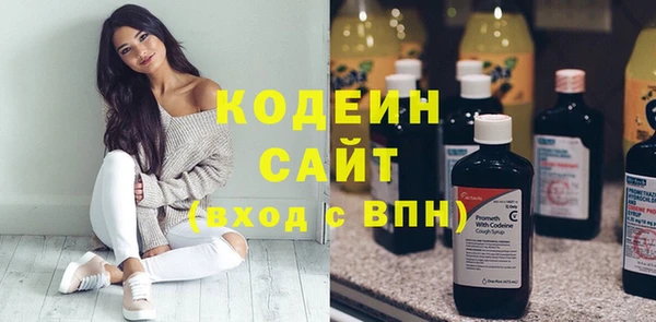молекула духа Верхний Тагил