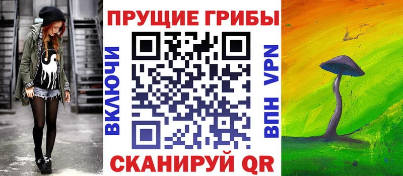 цены наркотик Вилючинск mega tor Галлюциногенные грибы Psilocybe